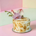 LS-Cake-OliveOilLemonMeringuePassionCurd
