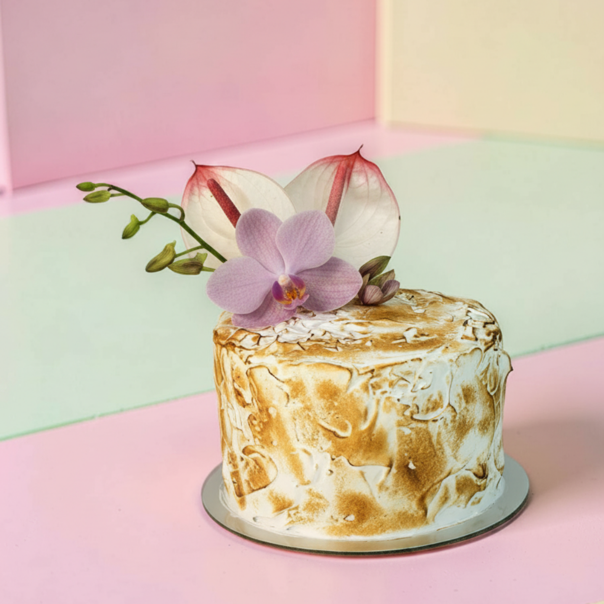 LS-Cake-OliveOilLemonMeringuePassionCurd