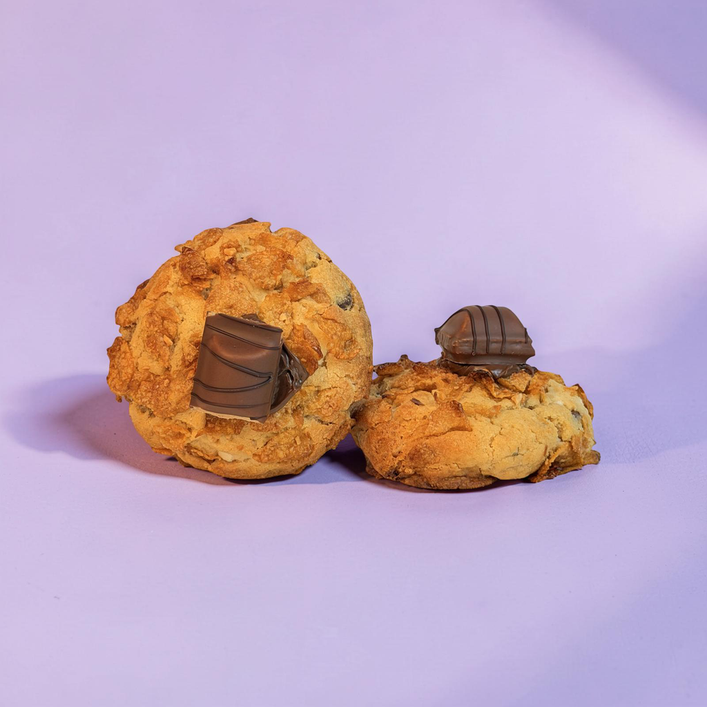 Two dog toys made of orange material with brown centers on a purple background